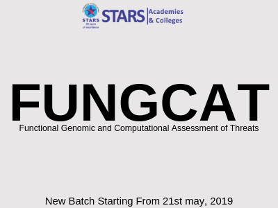 Stars Academy FUNGCAT Test
